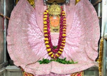 Jeen Mata Temple Pink Dress