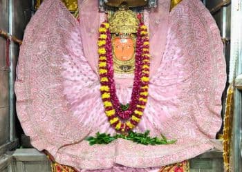 Jeen Mata Temple Pink Dress