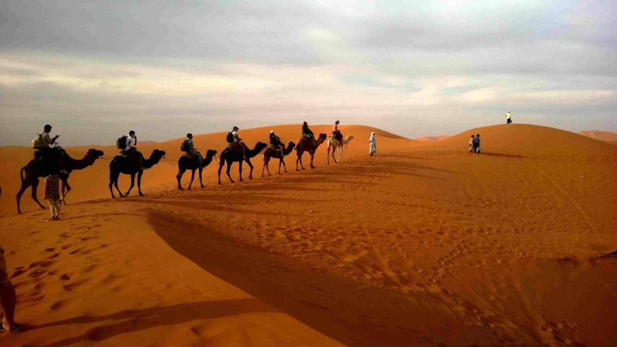 Jaisalmer Desert Camal Safari