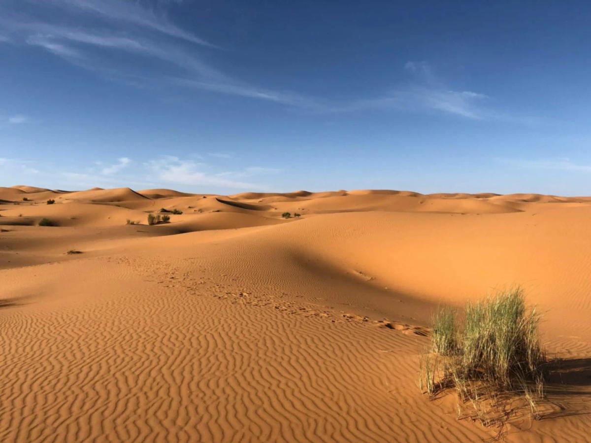Jodhpur Marwar Desert