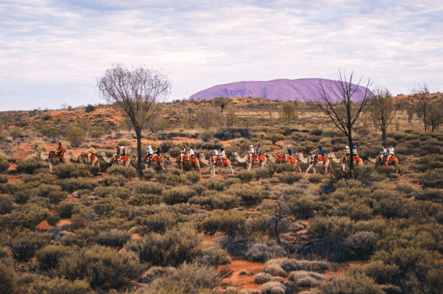 Rajasthan Wildlife Trails