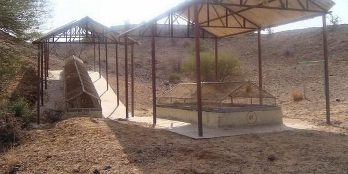 Located 17-18 km southeast of Jaisalmer near Akal Village Fossil Park Near Akal Village