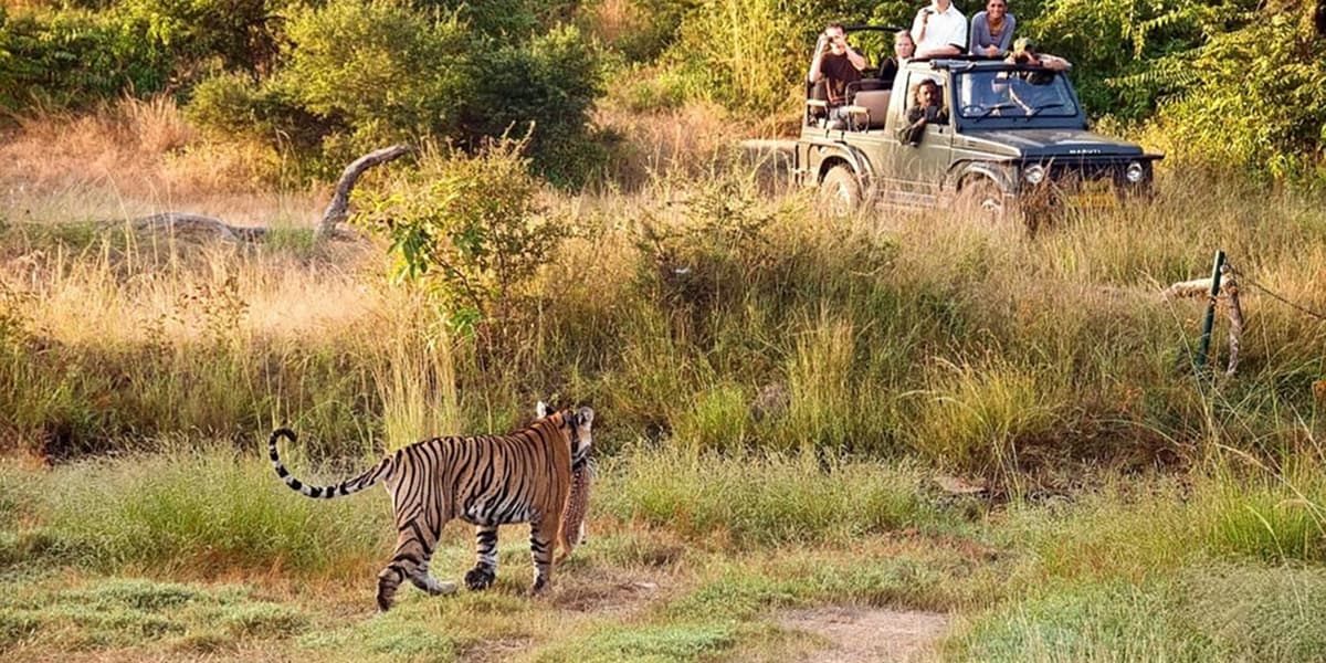 Explore Rajasthan Wildlife Trails - Perfect for Adventurers Rajasthan Wildlife Trails