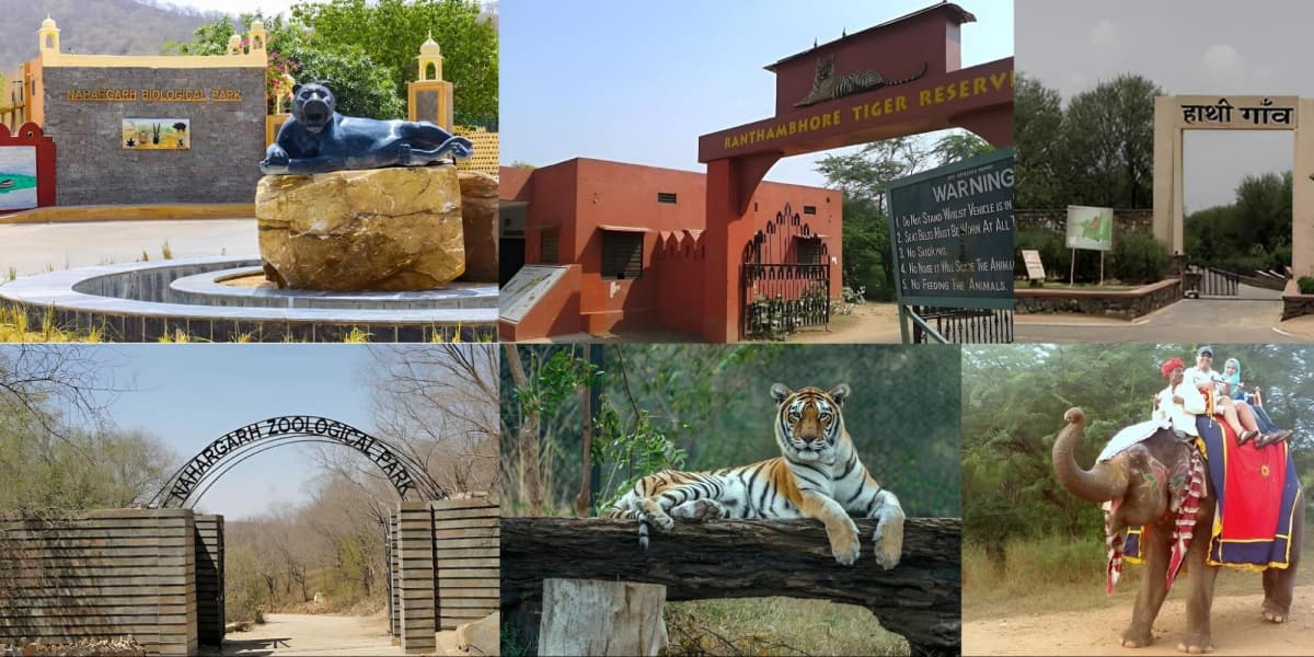 Best Wildlife Park in Jaipur for Nature and Wildlife Tours Best Wildlife Park Jaipur View