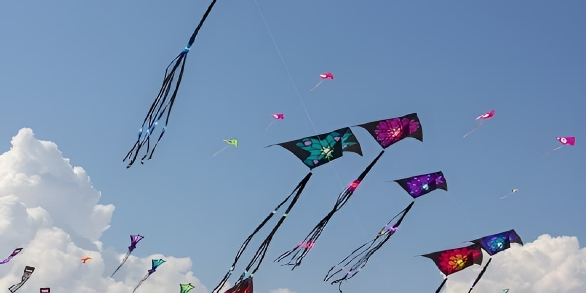 Jaipur's Largest Kite Festival | Makar Sankranti 2025 Jaipur Kite Festival