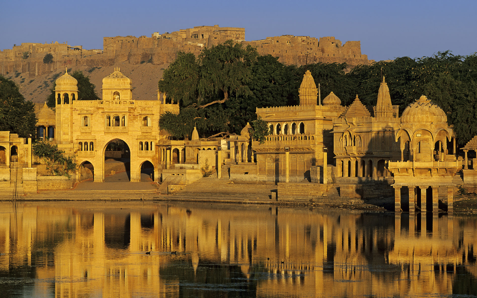06 Days Wild & Historic Rajasthan Tour